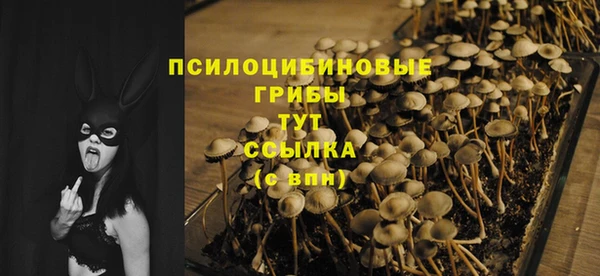 Альфа ПВП Абдулино