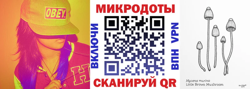 Псилоцибиновые грибы мицелий  наркотики  Хасавюрт 