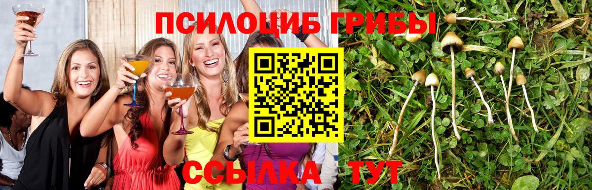 Галлюциногенные грибы GOLDEN TEACHER Хасавюрт